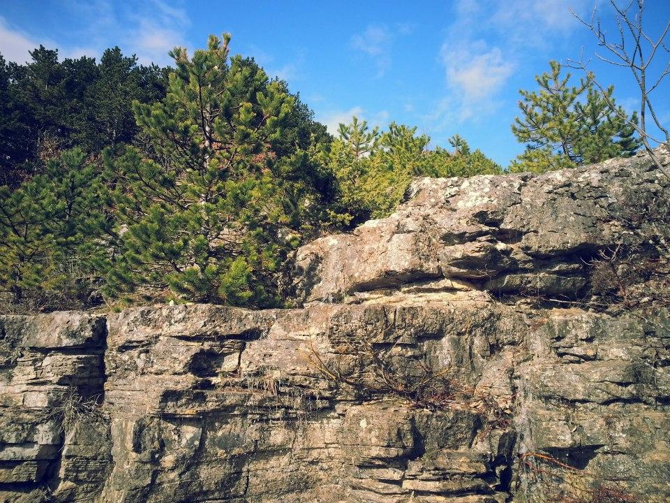 524091_515212765207514_36459742_n