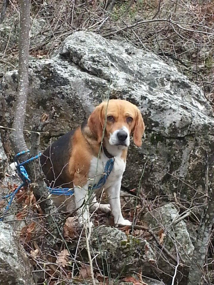 553314_515211568540967_736099620_n