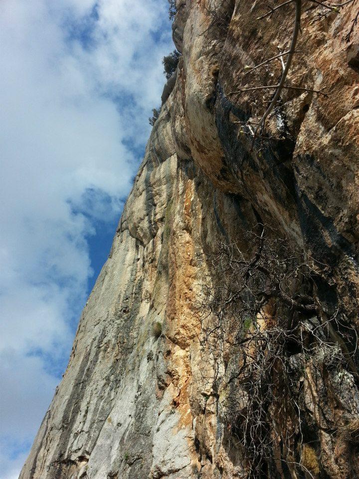 63584_515211651874292_2020010261_n