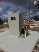 11063_515212341874223_652462803_n