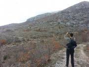 529440_515211171874340_1269943039_n