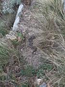 558493_515211735207617_1509277736_n