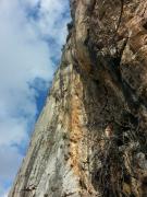 63584_515211651874292_2020010261_n