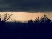 77170_515213118540812_853224173_n