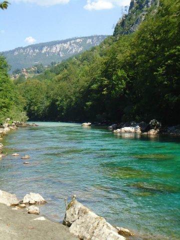 1379743_601047853290671_1398278093_n