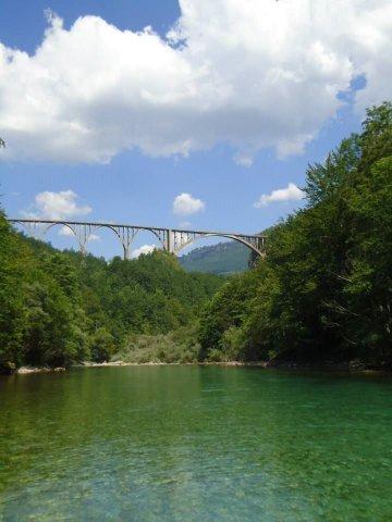 1381766_601047809957342_1456178030_n