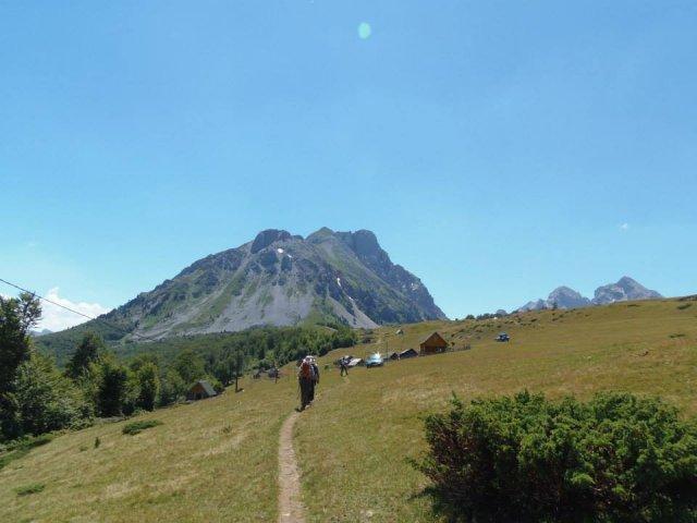 1382046_601048593290597_502564274_n