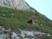 1239985_601048133290643_727479632_n