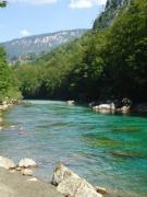 1379743_601047853290671_1398278093_n