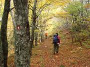 staza Veliko rujno- Struge_dsc00709