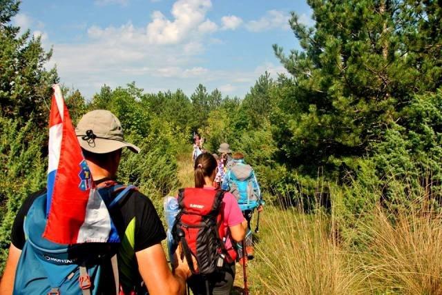 10570967_262972780564073_1952522228_n