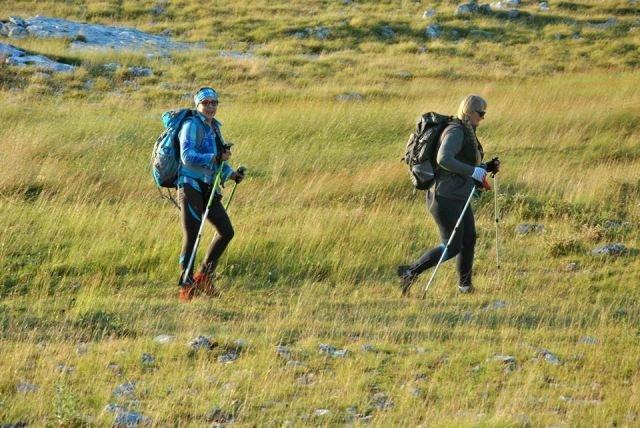 10576360_262970917230926_2010788124_n