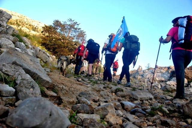 10595836_262970813897603_1768308444_n