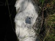 IMG_6776_BR.PLOČICE Bukove jame