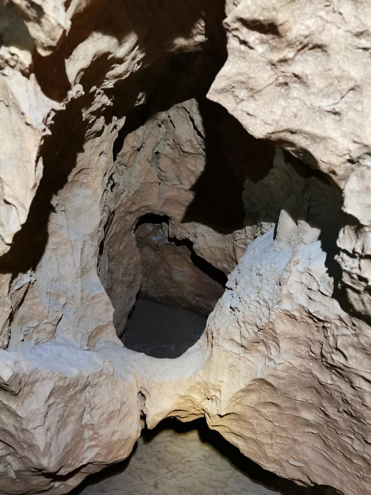 WhatsApp-Image-2021-11-14-at-161333-1