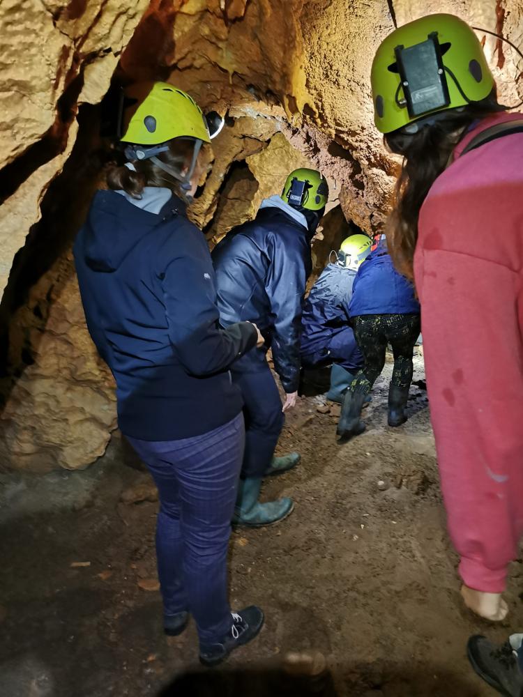 WhatsApp-Image-2021-11-14-at-161334