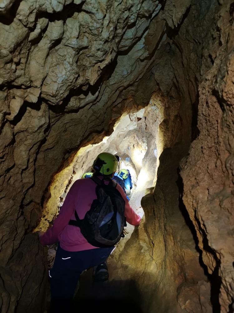 WhatsApp-Image-2021-11-14-at-161335