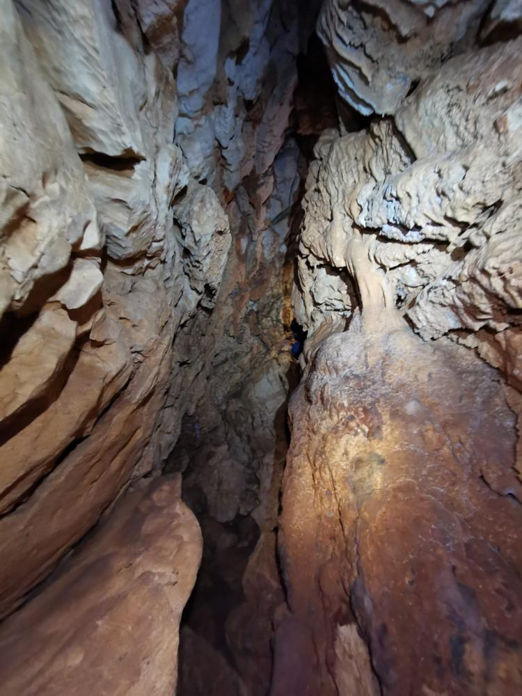 WhatsApp-Image-2021-11-14-at-161336