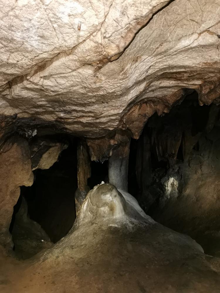 WhatsApp-Image-2021-11-14-at-161337-1