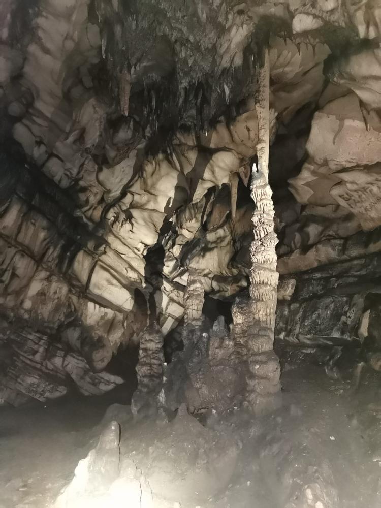 WhatsApp-Image-2021-11-14-at-161337