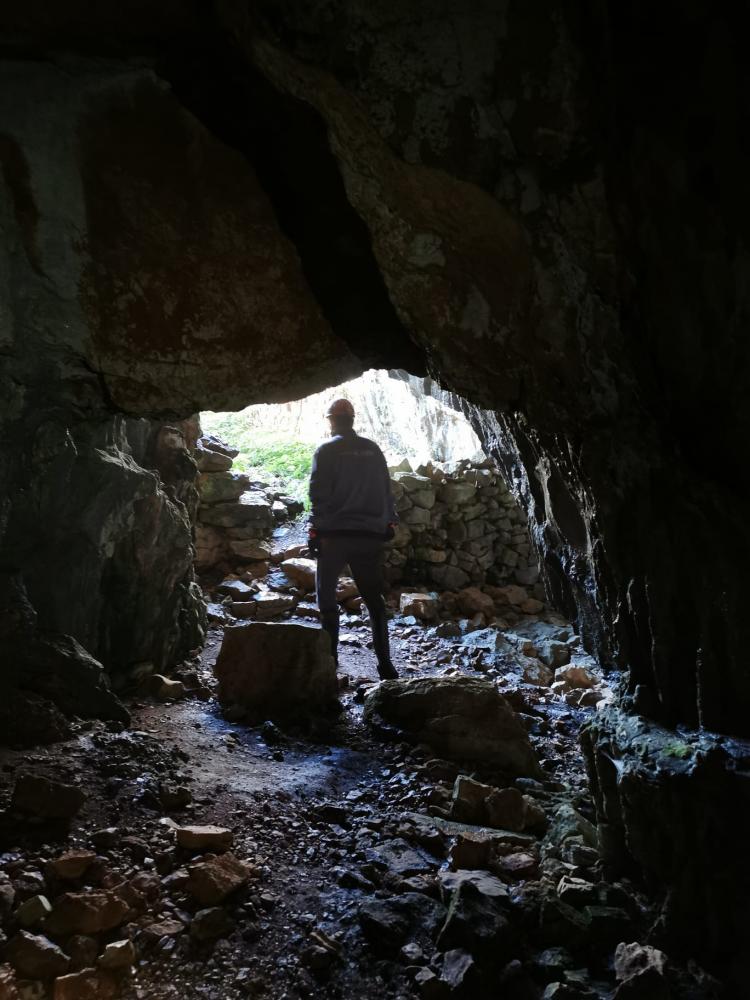 WhatsApp-Image-2021-11-14-at-161338