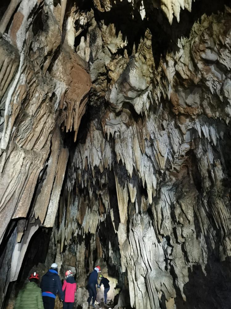 WhatsApp-Image-2021-11-14-at-161340-3