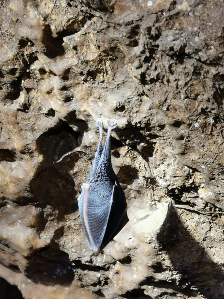 WhatsApp-Image-2021-11-14-at-161412