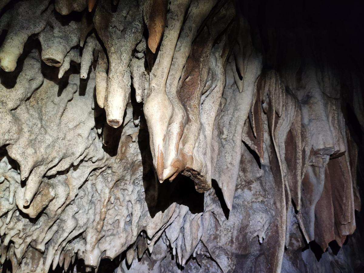 WhatsApp-Image-2021-11-14-at-162047