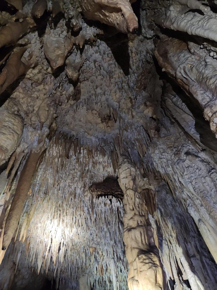 WhatsApp-Image-2021-11-14-at-162048-2