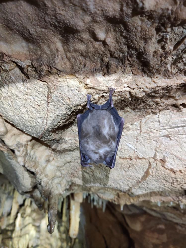 WhatsApp-Image-2021-11-14-at-162049-1