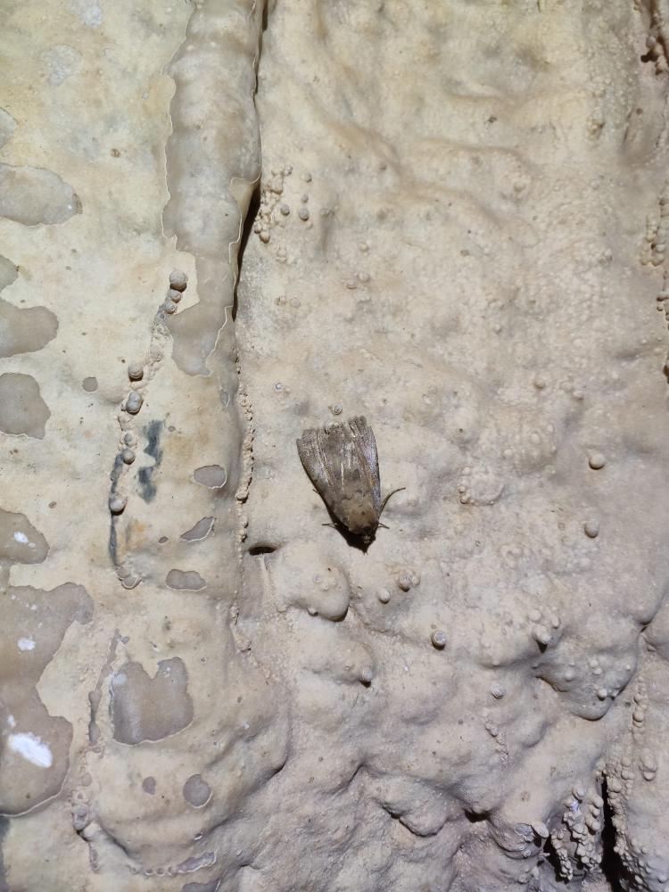 WhatsApp-Image-2021-11-14-at-162049-2