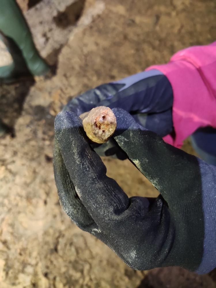 WhatsApp-Image-2021-11-14-at-162049