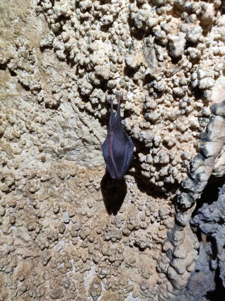 WhatsApp-Image-2021-11-14-at-162050-2