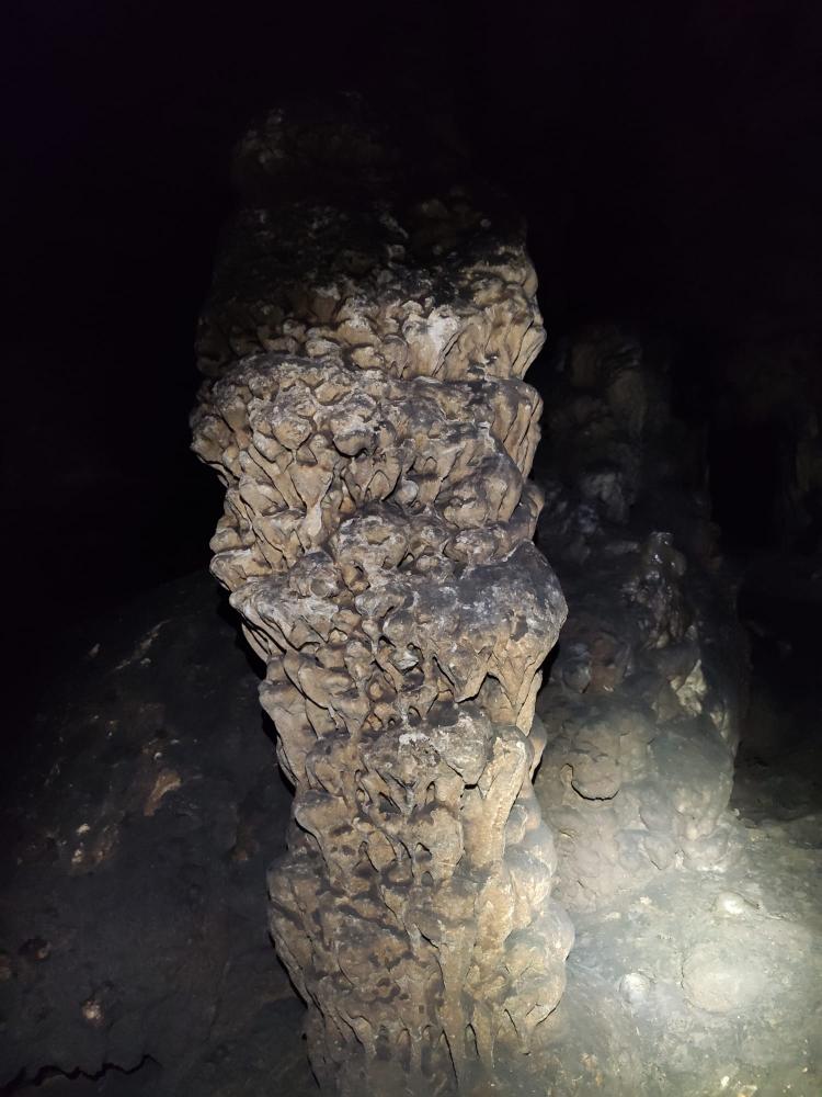 WhatsApp-Image-2021-11-14-at-162051-1