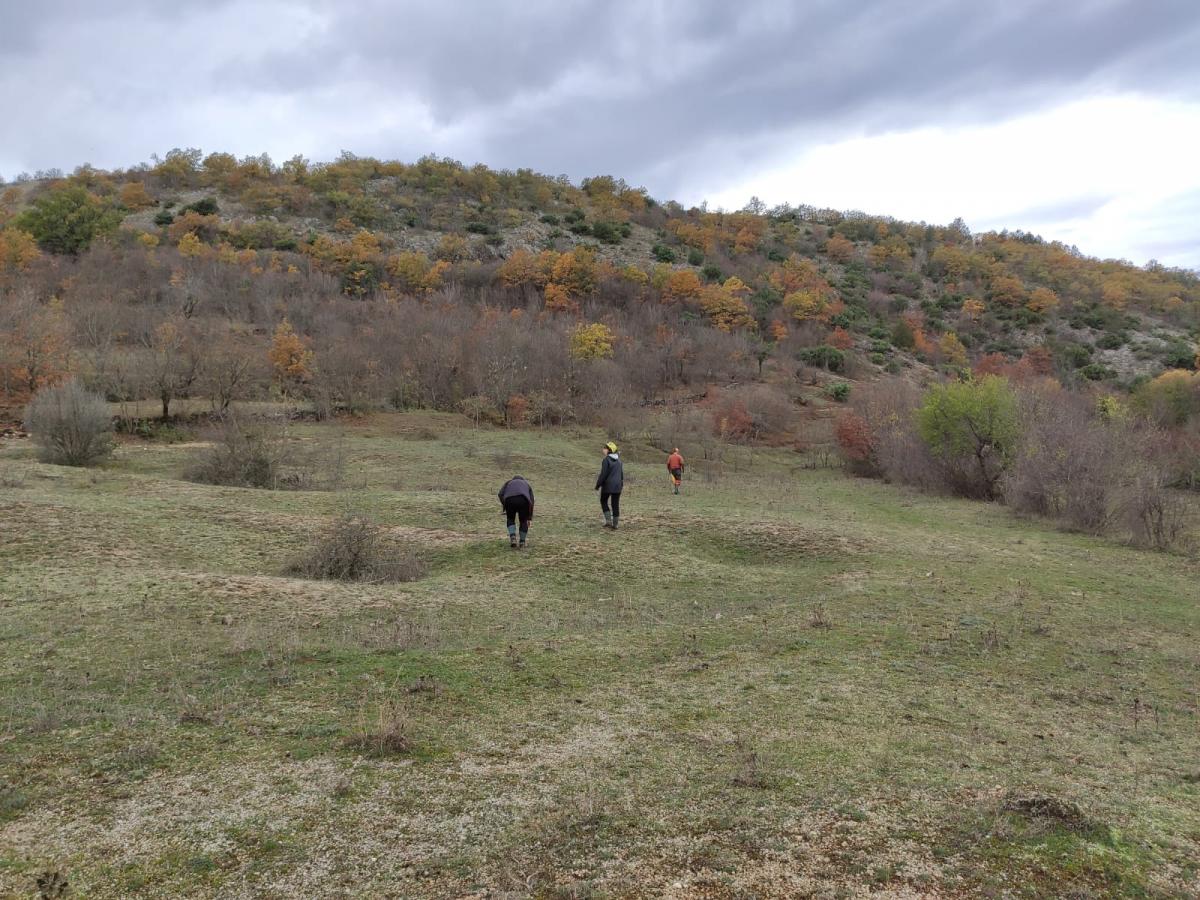 WhatsApp-Image-2021-11-14-at-162117