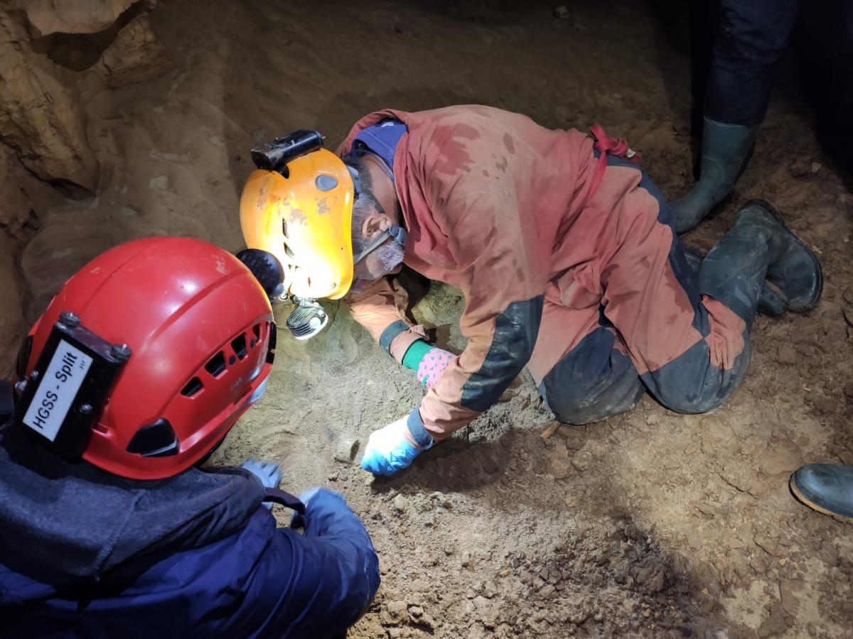 WhatsApp-Image-2021-11-14-at-162156-1