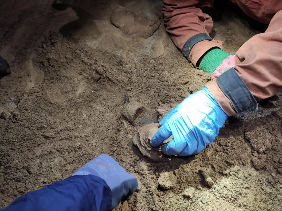 WhatsApp-Image-2021-11-14-at-162156