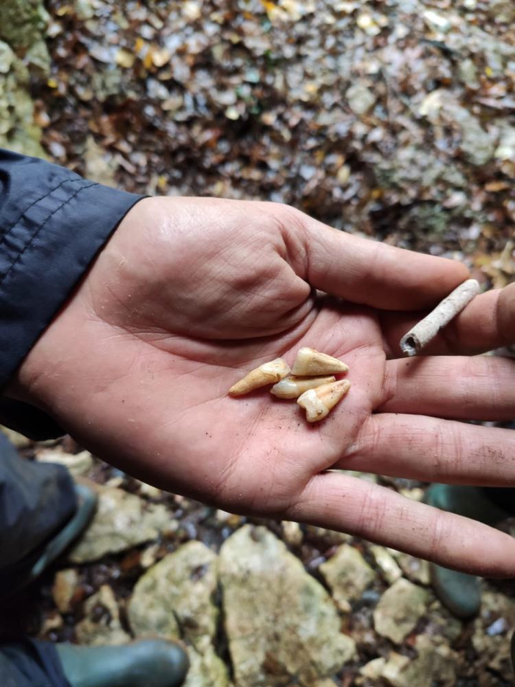 WhatsApp-Image-2021-11-14-at-162157