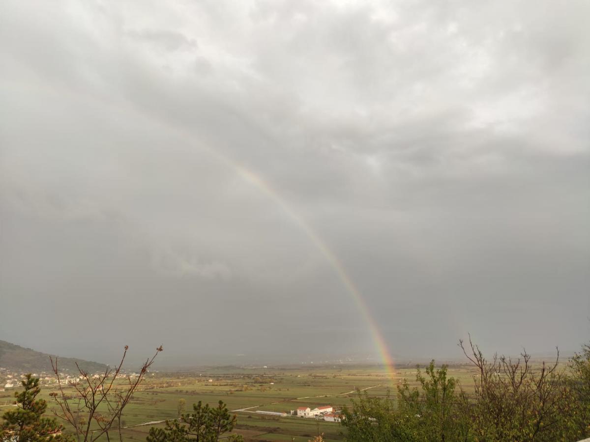 WhatsApp-Image-2021-11-14-at-162159-1