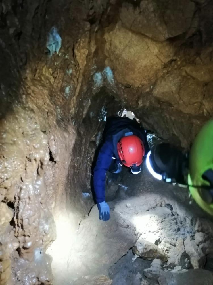 WhatsApp-Image-2021-11-15-at-083435-1