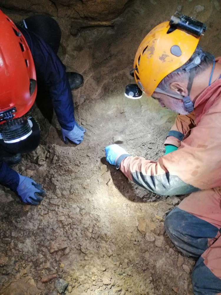 WhatsApp-Image-2021-11-15-at-083435-2