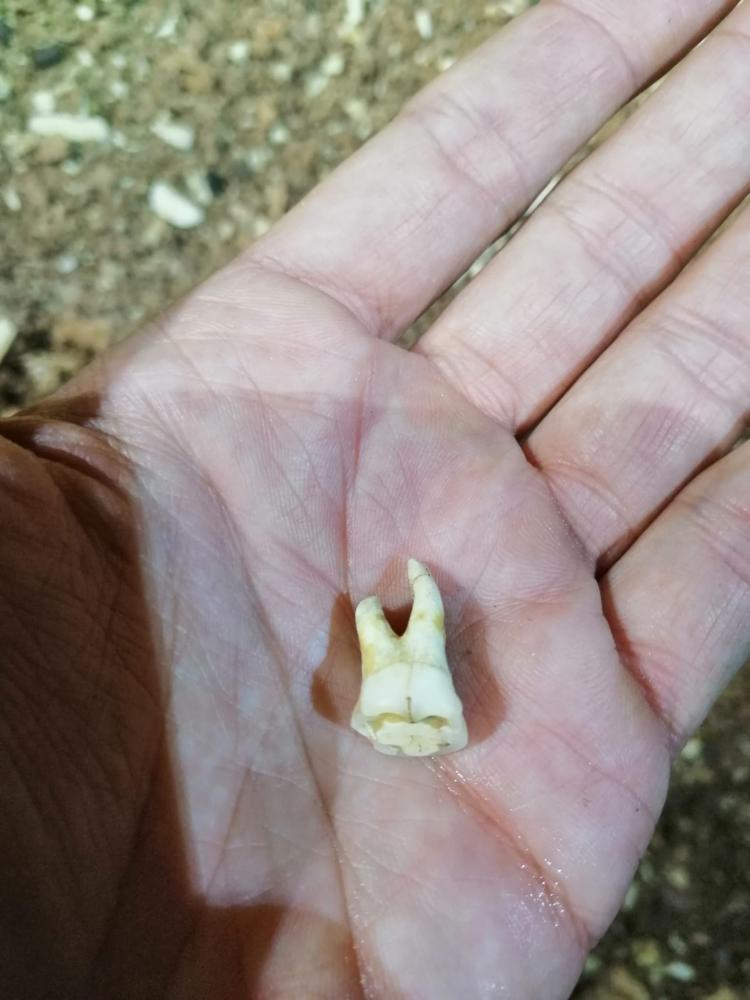 WhatsApp-Image-2021-11-15-at-083435