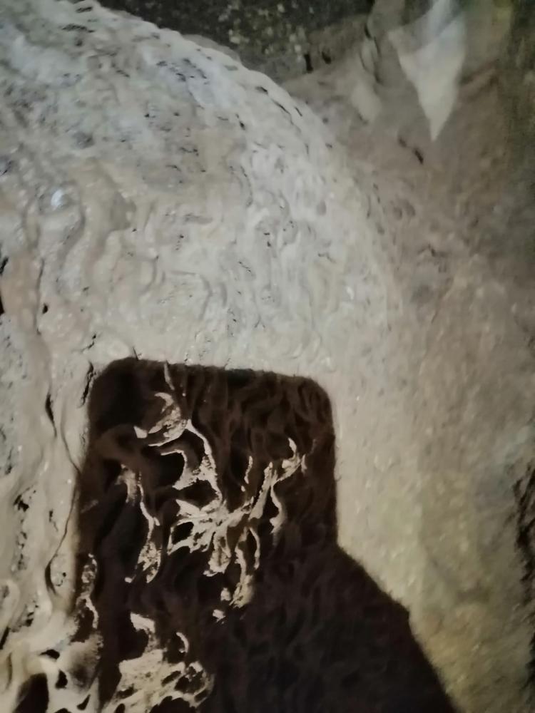 WhatsApp-Image-2021-11-15-at-083436