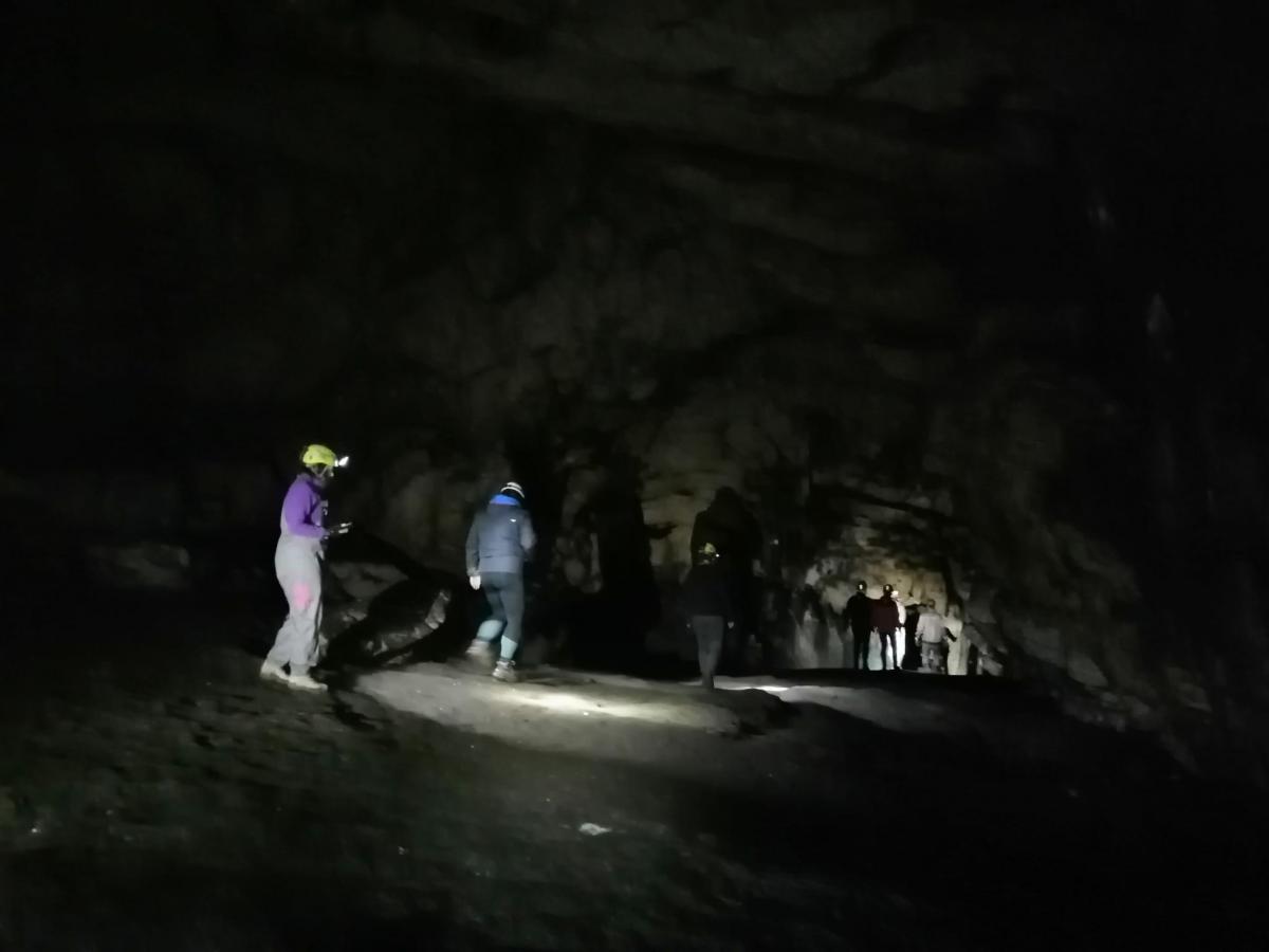 WhatsApp-Image-2021-11-15-at-083438-1