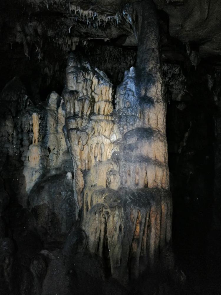 WhatsApp-Image-2021-11-15-at-083438