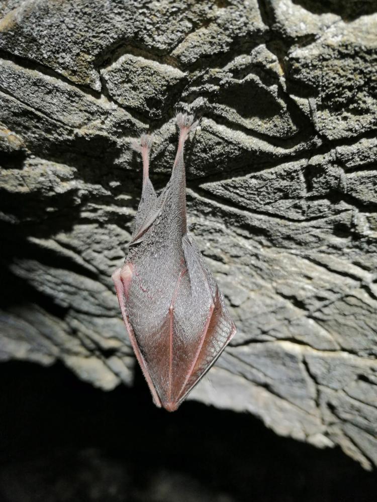 WhatsApp-Image-2021-11-15-at-083439-2