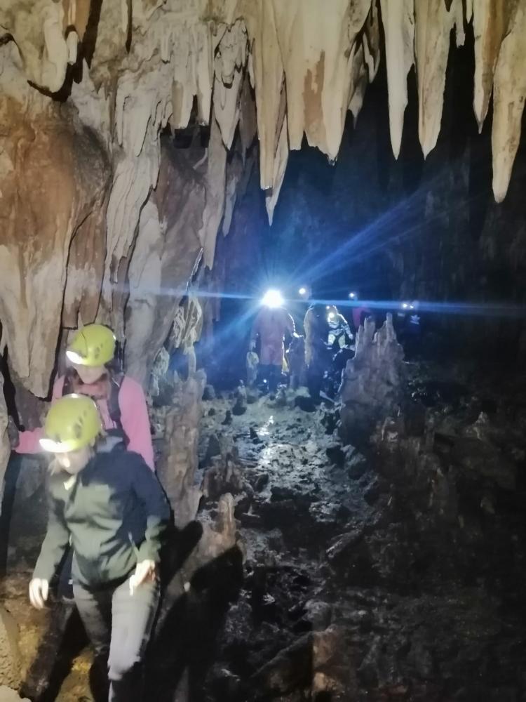 WhatsApp-Image-2021-11-15-at-083440-1