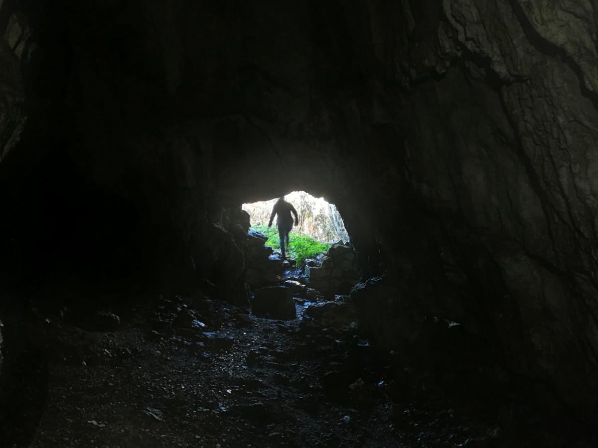 WhatsApp-Image-2021-11-15-at-083440-2