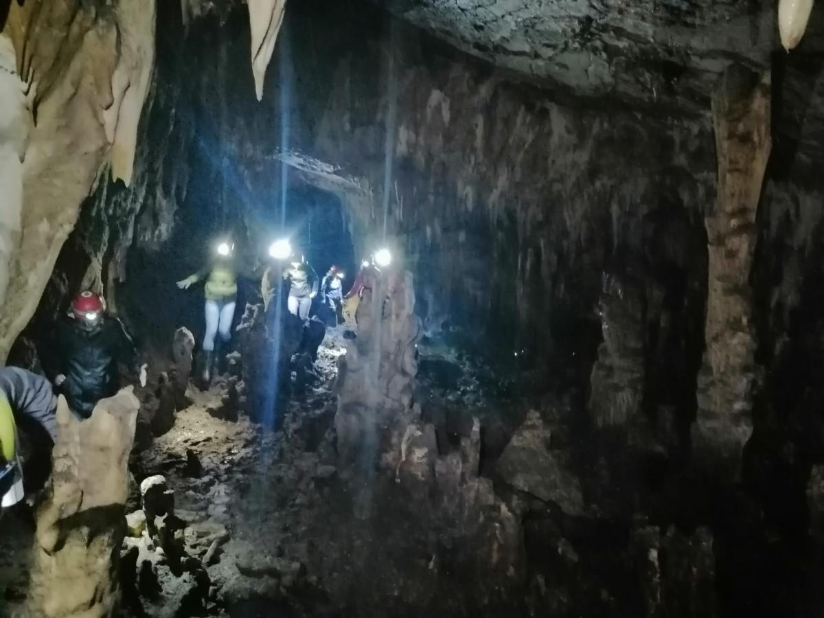 WhatsApp-Image-2021-11-15-at-083441-1