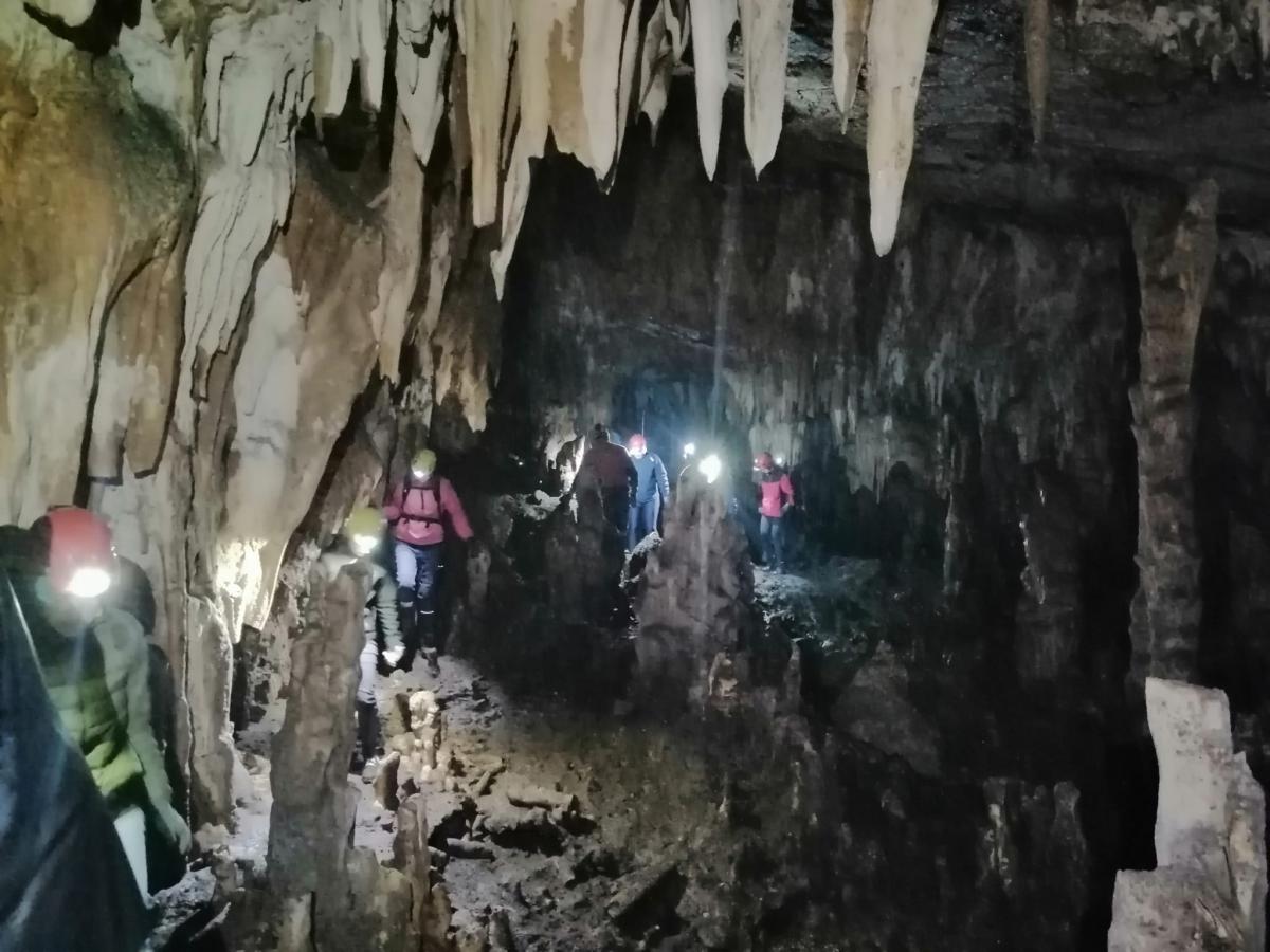 WhatsApp-Image-2021-11-15-at-083441